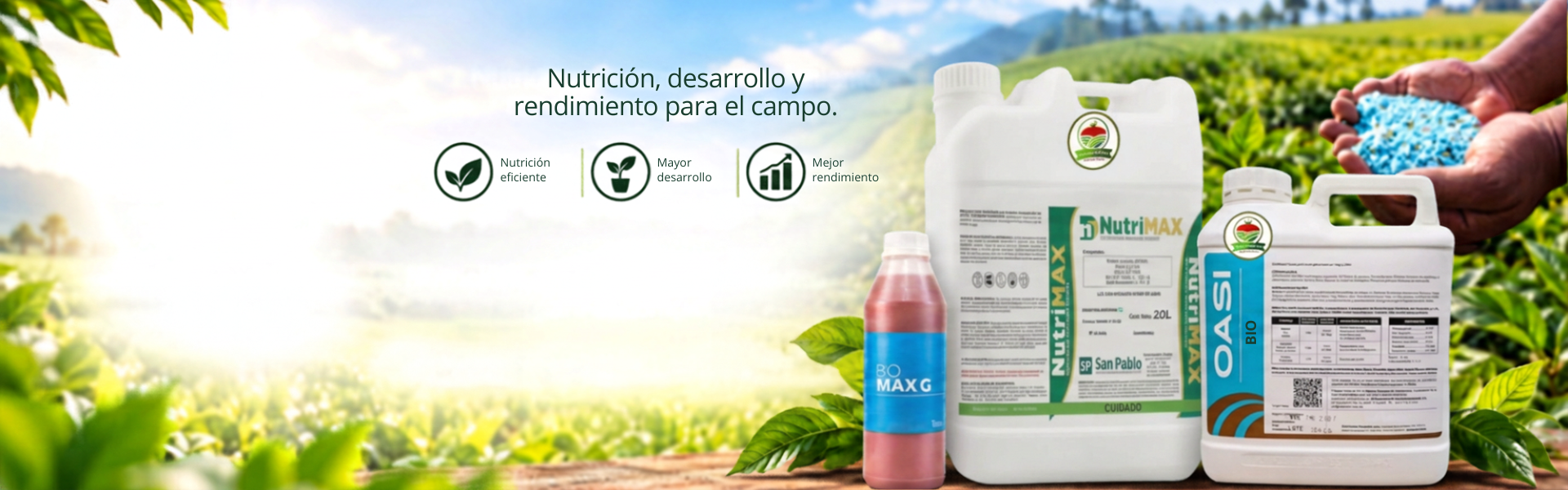 Fertilizantes