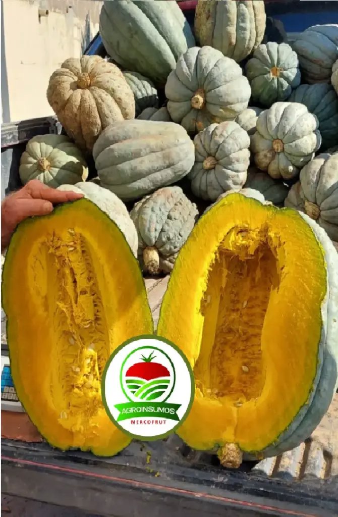 ZAPA PLOMO X 1 KG - Imagen 1