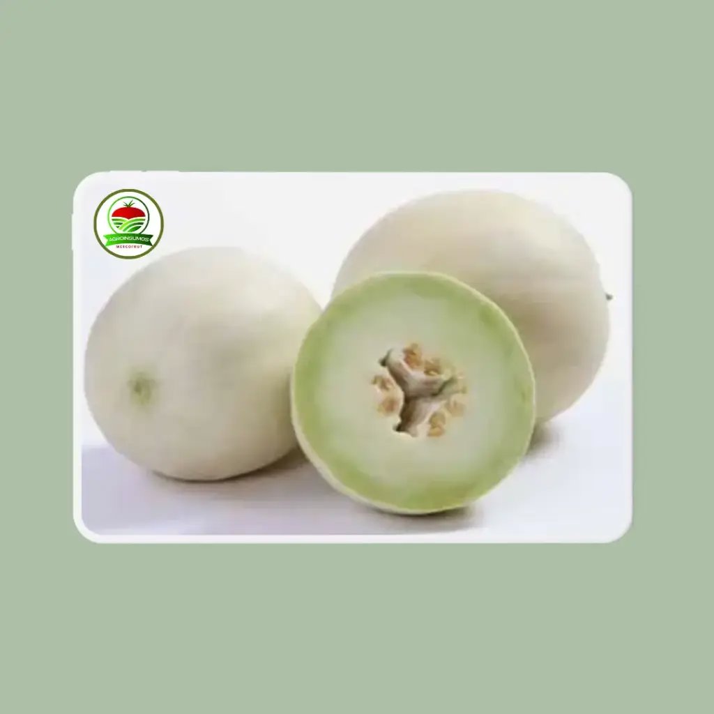 MELON HIB SALGARI X 1000 SEM - Imagen 1