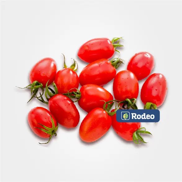 Tomate Cherry Timoteo F1 - Imagen 1