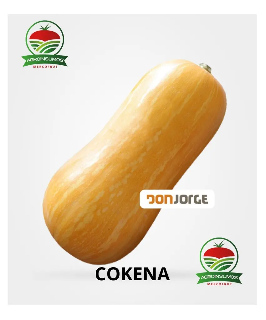 COKENA.webp