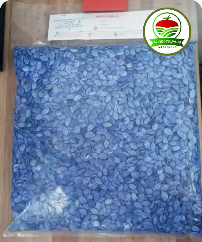 zapallito tronco 2.webp