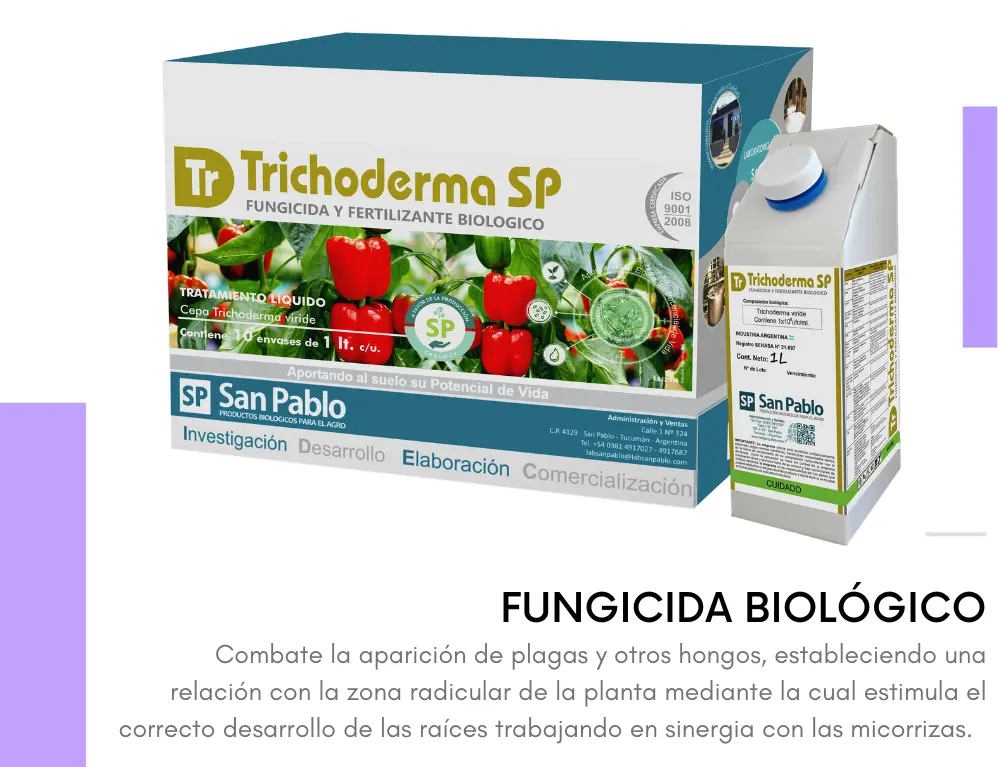 Placas-Lab.-SP-51.webp