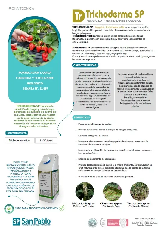 Trichoderma sp ficha.webp