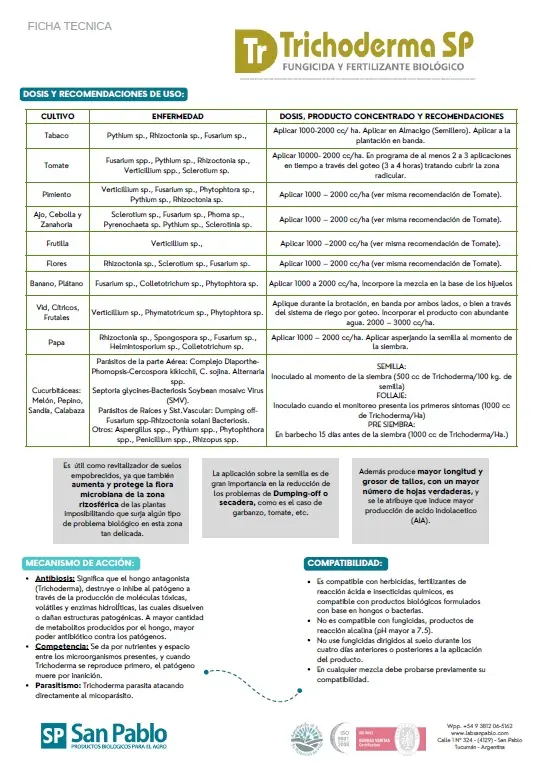 Trichoderma sp ficha 2.webp