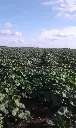 70020086_743729552732892_8445762087585579008_n.webp