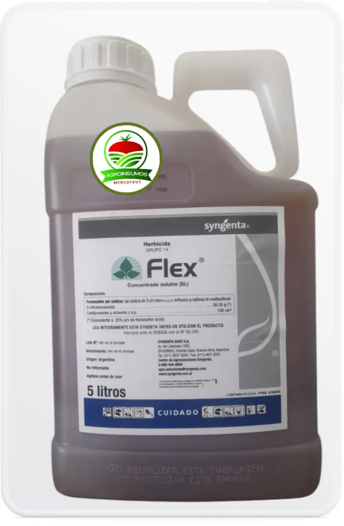 FLEX 5.webp