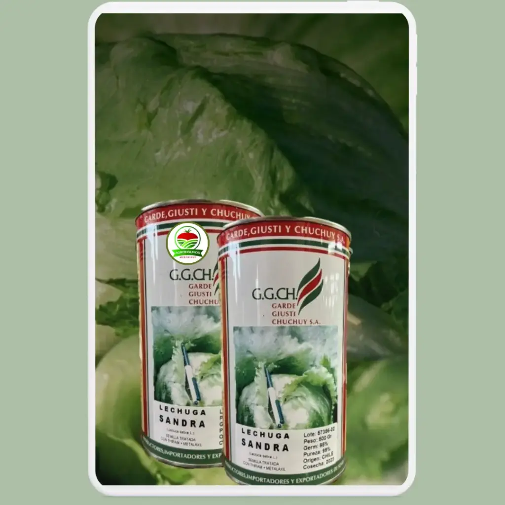 Lechuga Sandra
