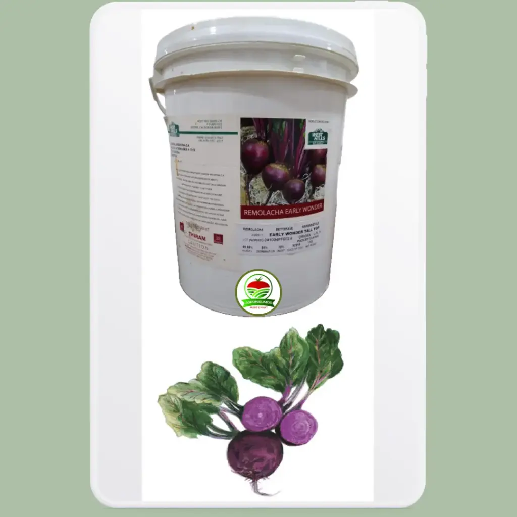 Remolacha Early Wonder