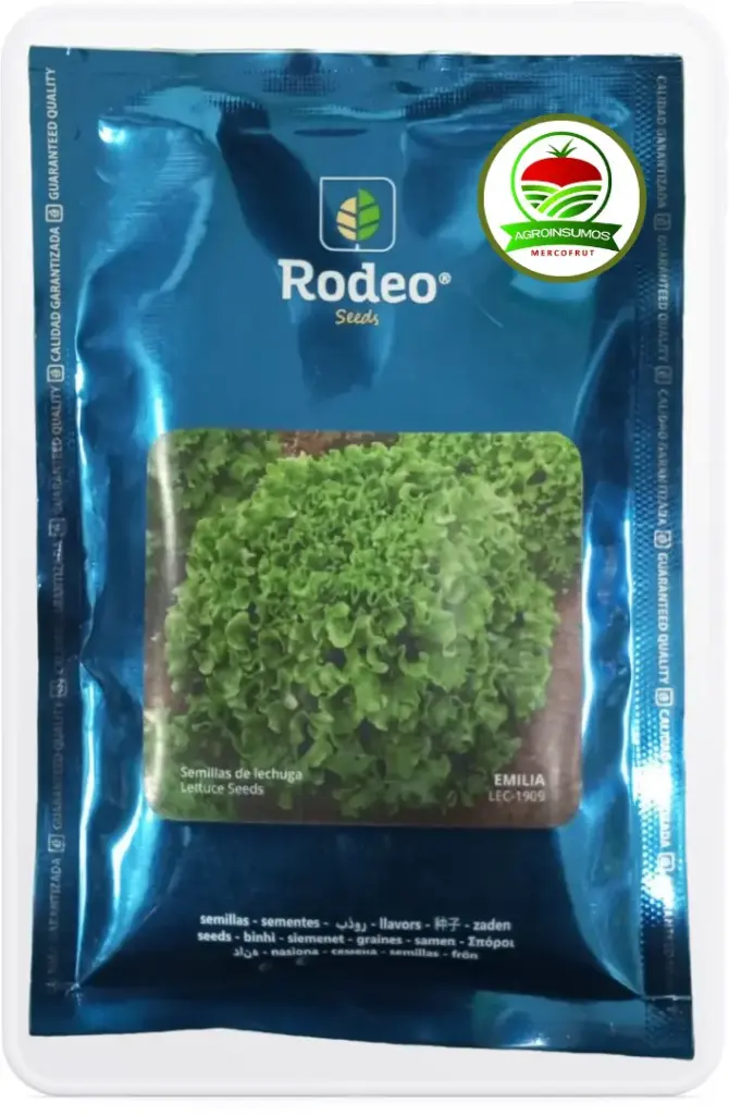 Lechuga Emilia