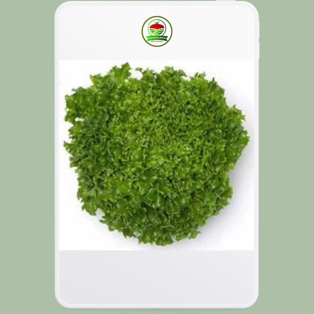 Lechuga Multigreen