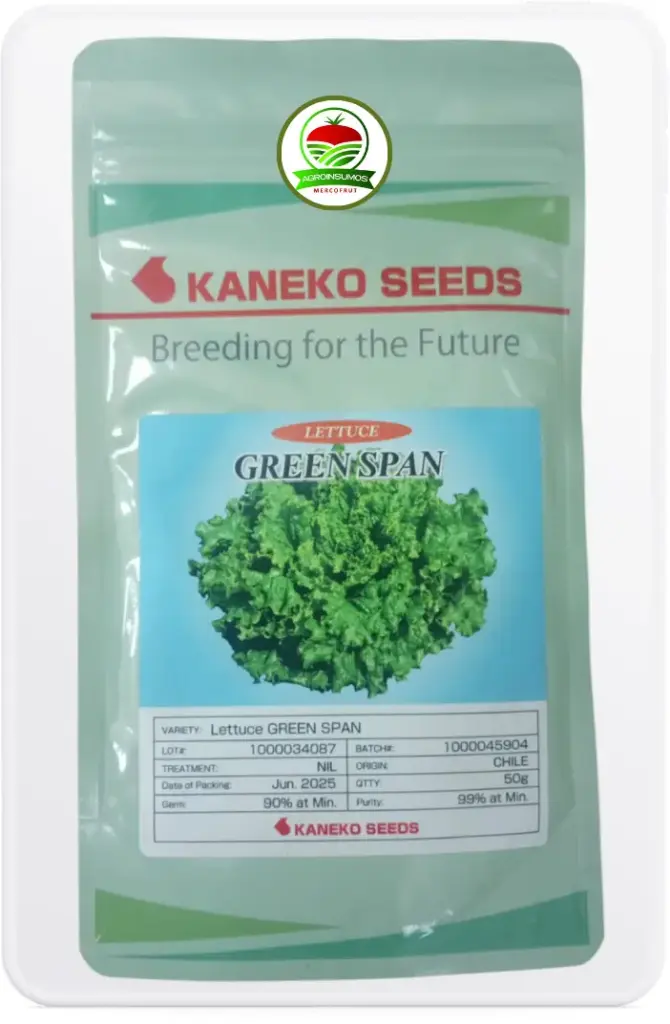 Lechuga Green Span