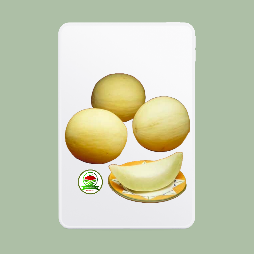 Melón Sundew X 1 Mil Semillas