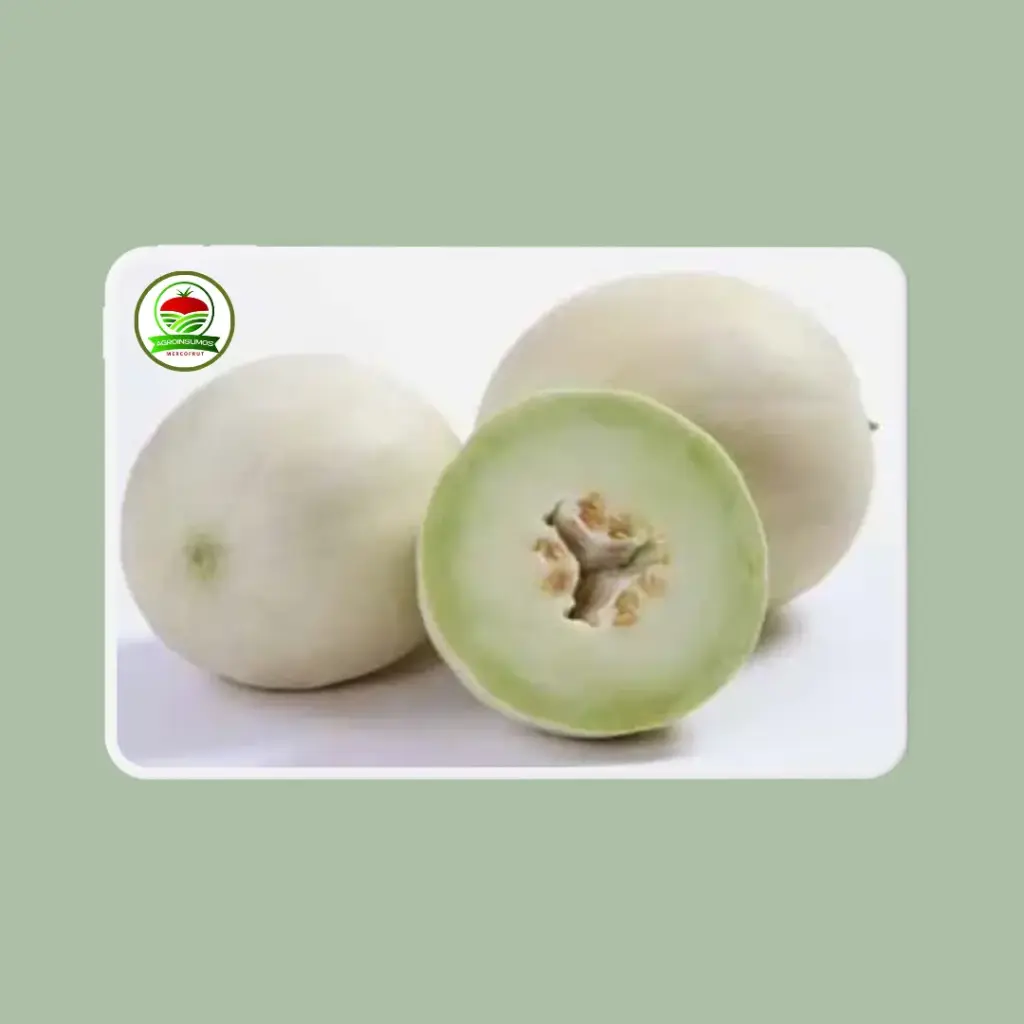 Melón Salgari