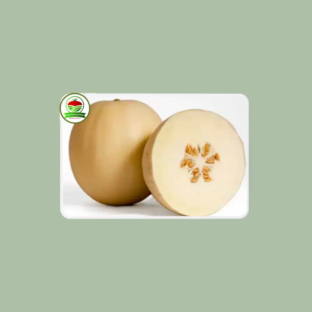 Melón Dolce Crema