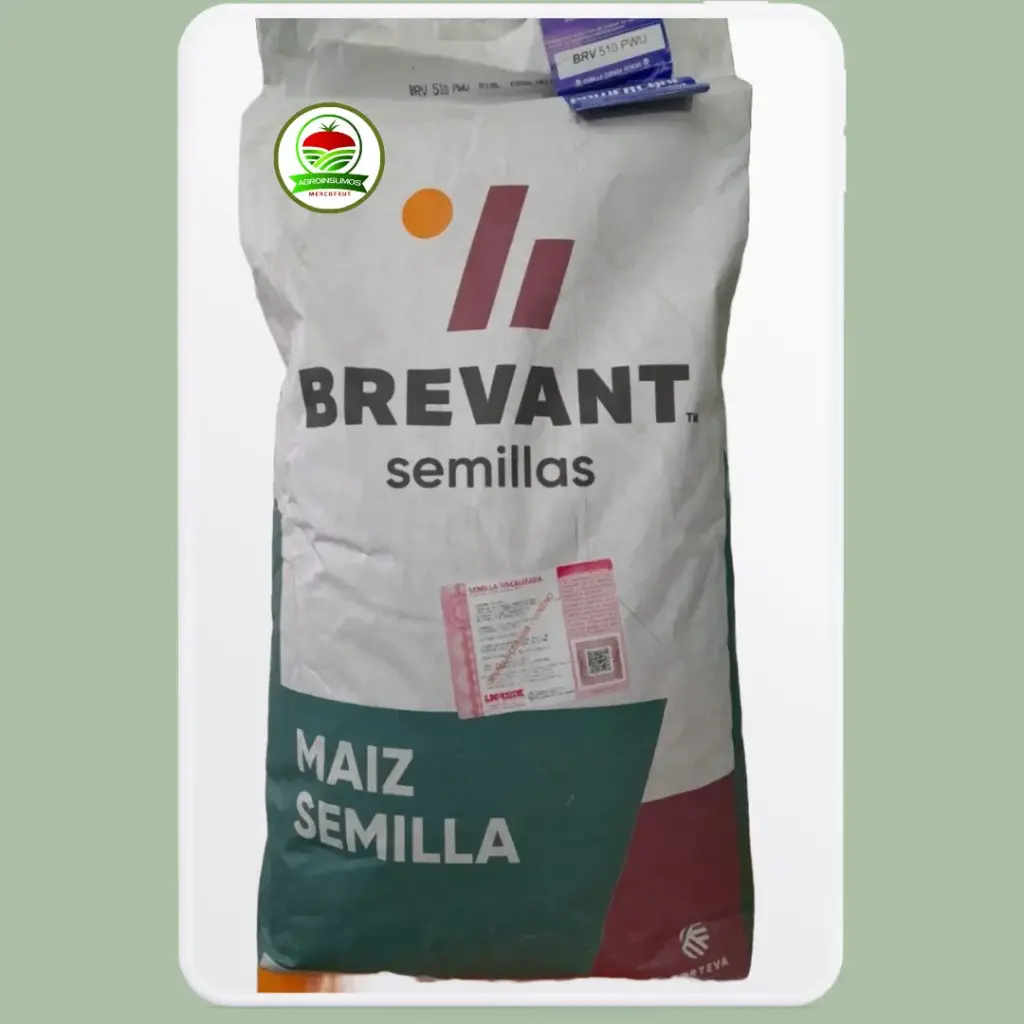 MAIZ BREVANT 510 PWUE