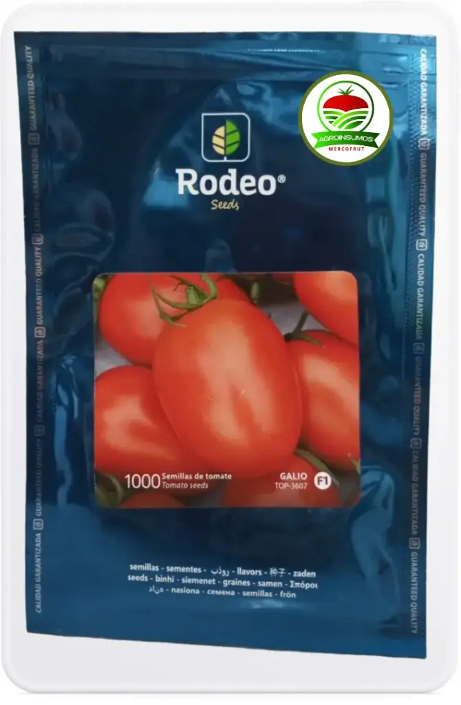 Tomate Galio F1