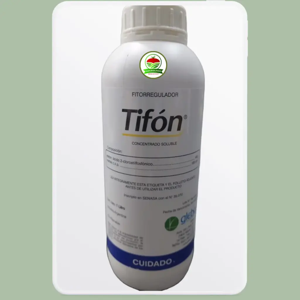 Tifón