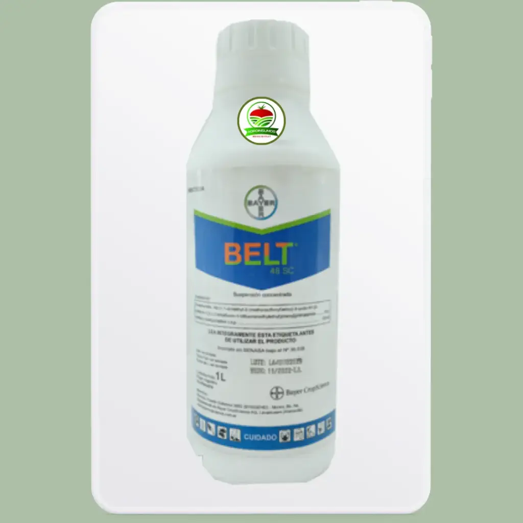 Belt 1 Litro