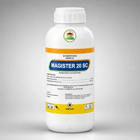 Magister 20 SC