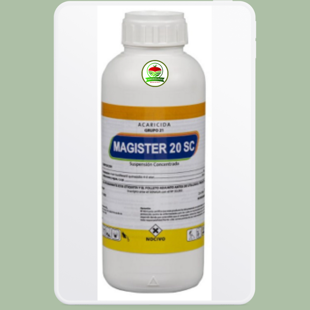 Magister 20 SC