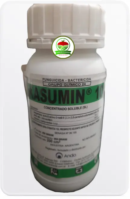 KASUMIN 10  200Cm3 ANDO bactericida