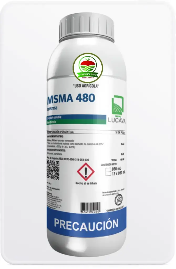 MSMA 480