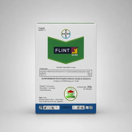 ​Flint Bayer Oidio