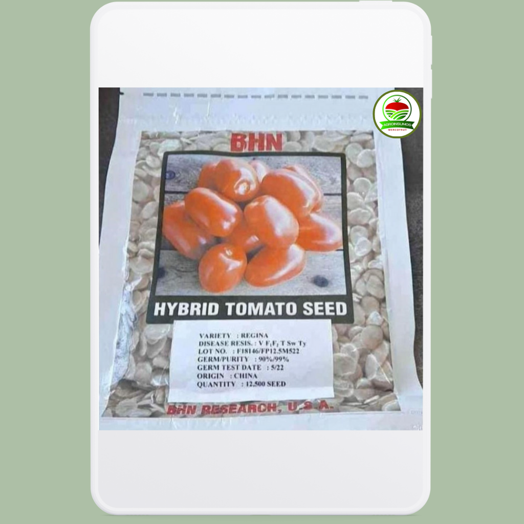 Tomate Regina F1 12500 Semillas