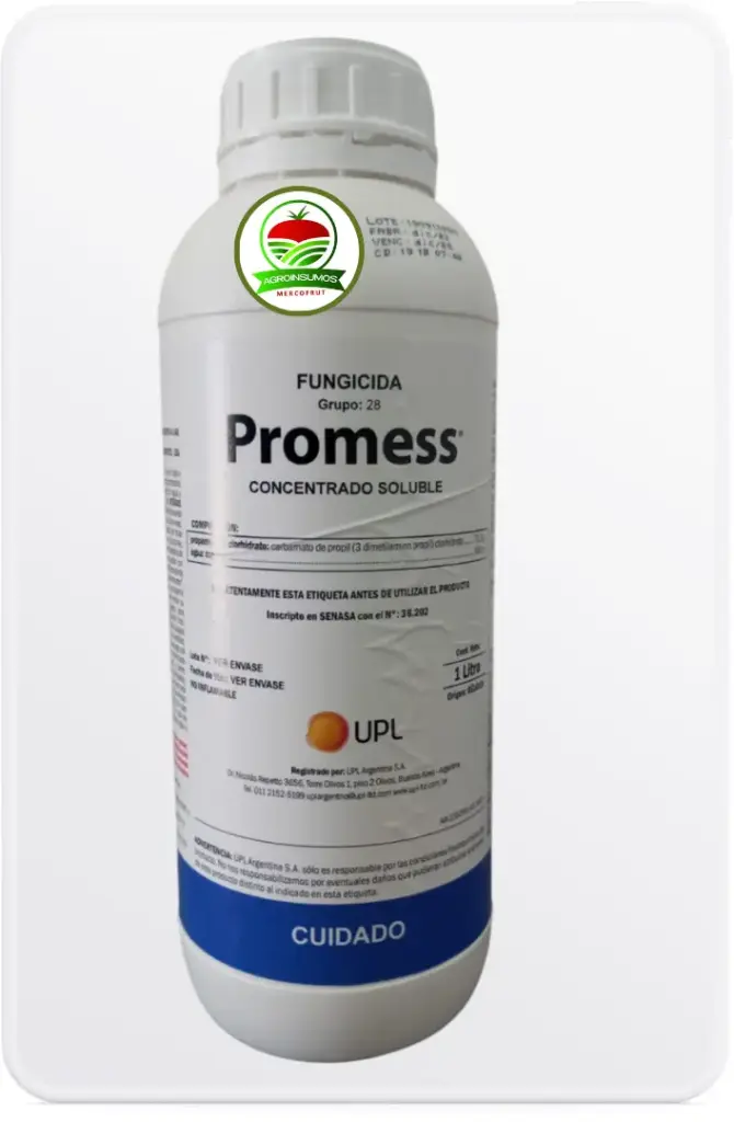 Promess