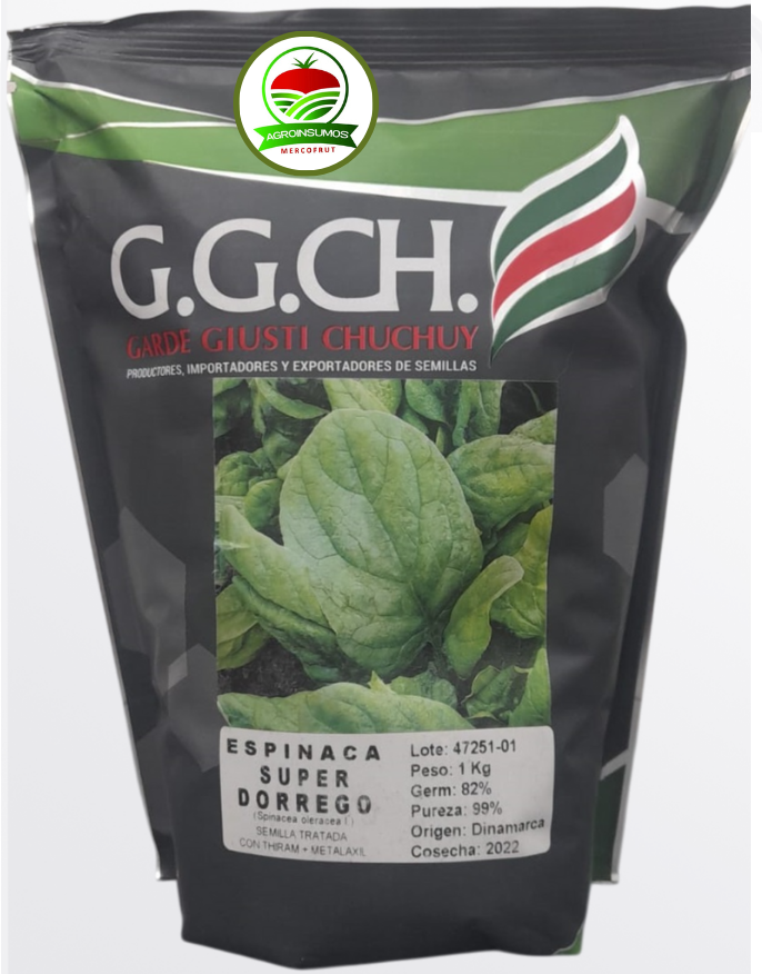 ESPINACA SUPER DORREGO