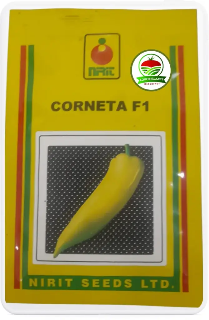 Aji Vinagre Corneta f1