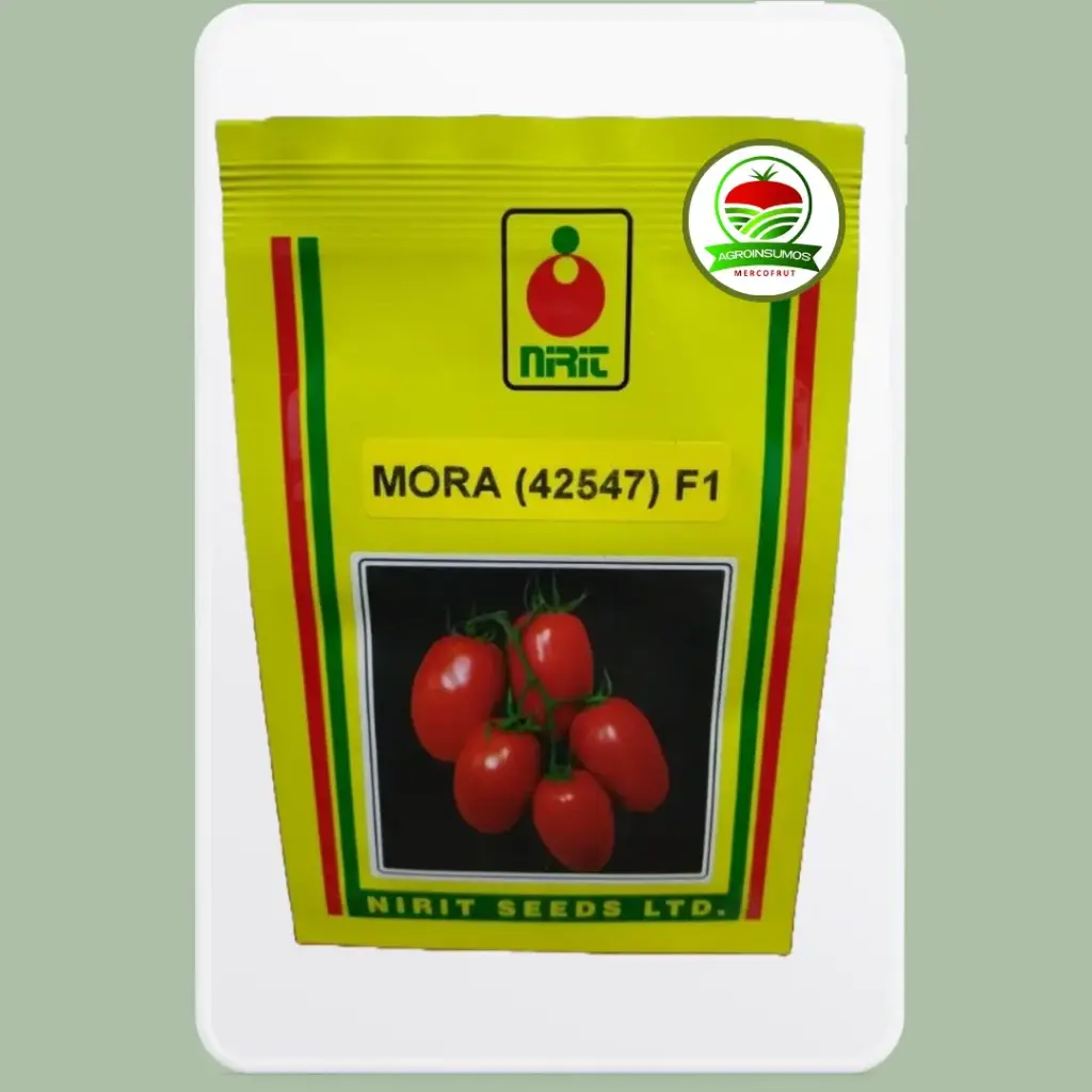 Tomate Mora (42547) F1