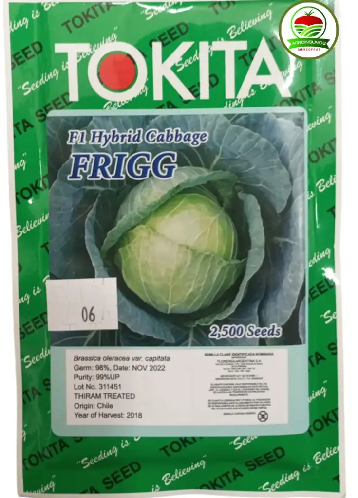 Repollo hybrido Frigg 2500 Semillas