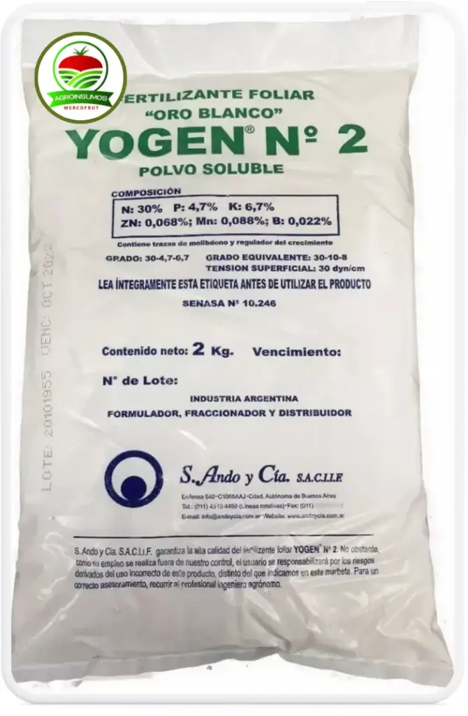 Yogen N°2 ANDO