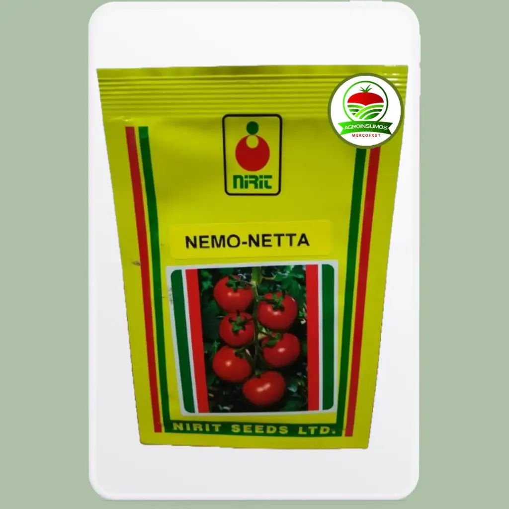 Tomate NEMO NETTA F1