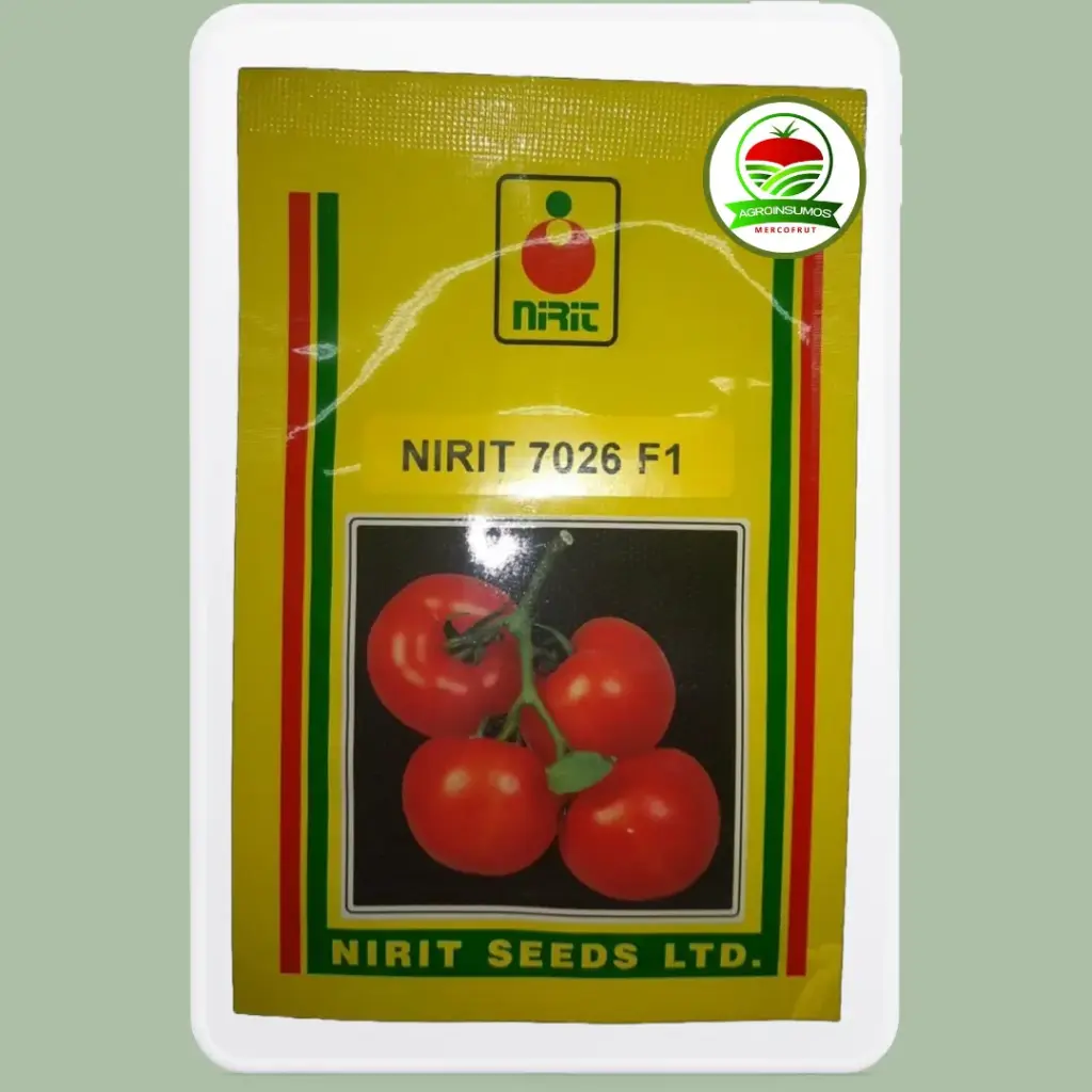 Tomate NIRIT 7026 F1