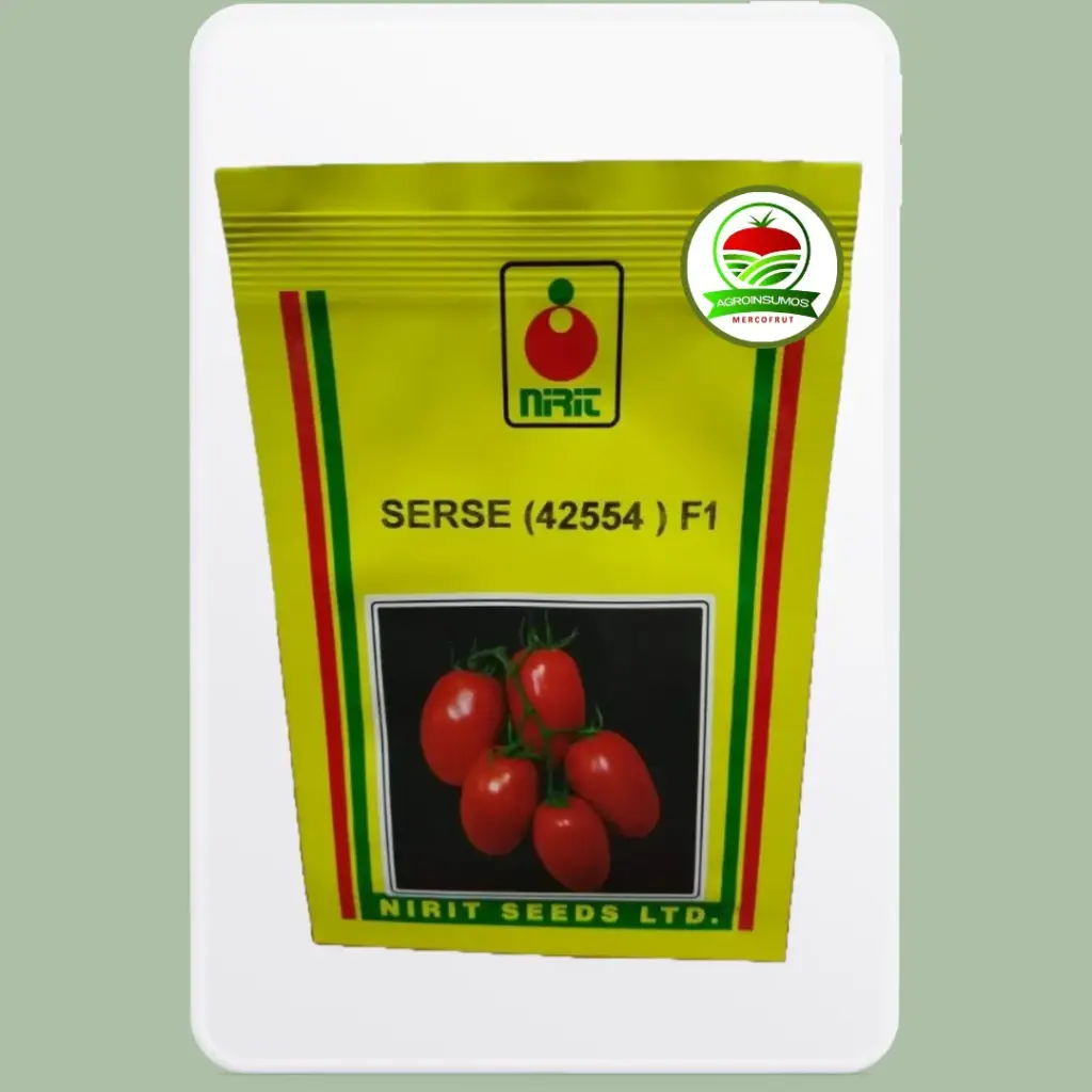 Tomate SERSE (42554) F1