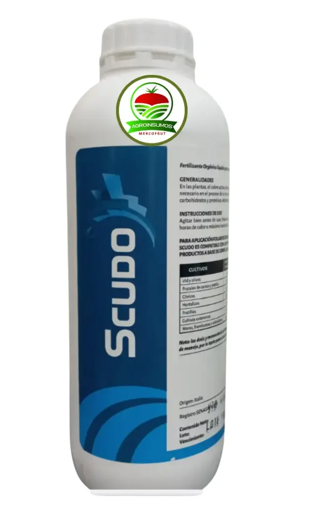 Scudo