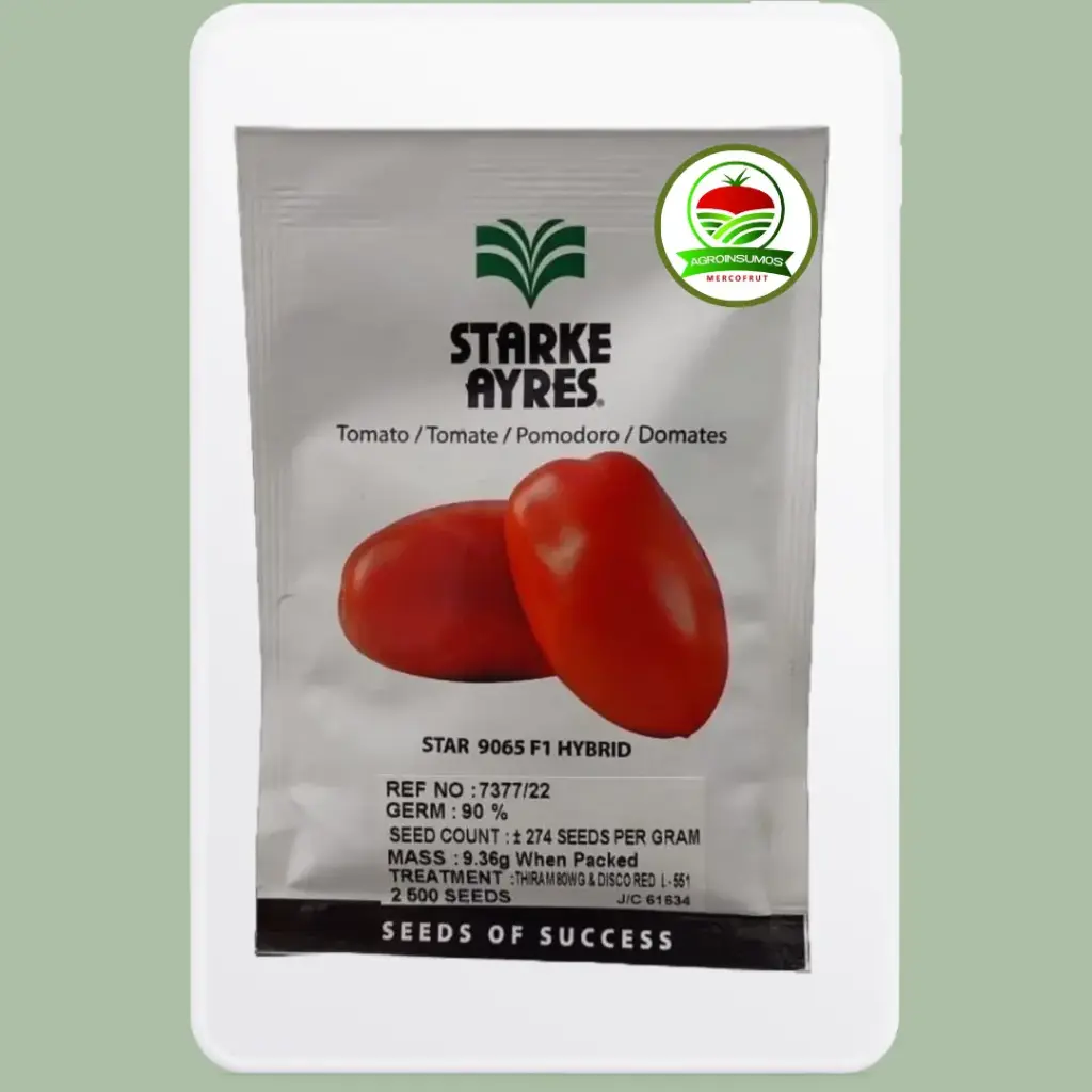 Tomate STAR 9065 - F1
