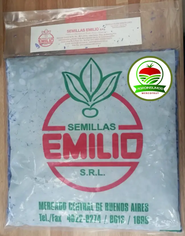 Zapallito de Tronco Redondo