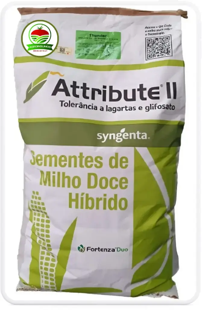 THUNDER X 60 MIL SEM F1 MAIZ BT RR