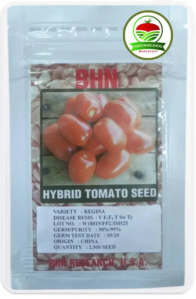 Tomate Regina F1 2500 Semillas
