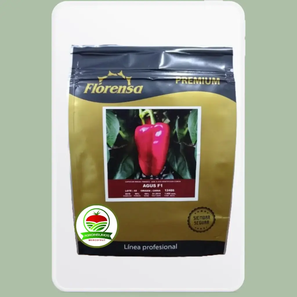 Pimiento AGUS - F1