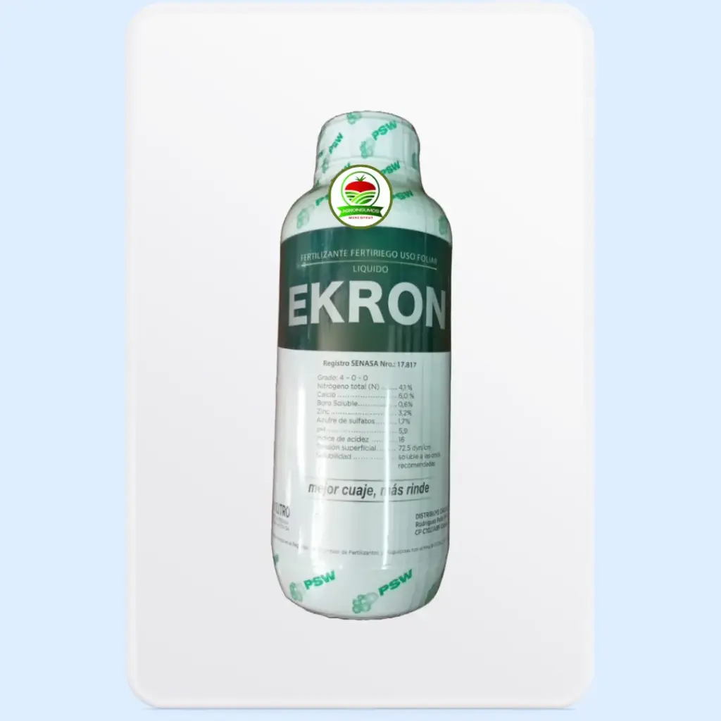 Ekron