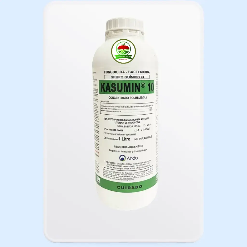 KASUMIN 10 ANDO bactericida