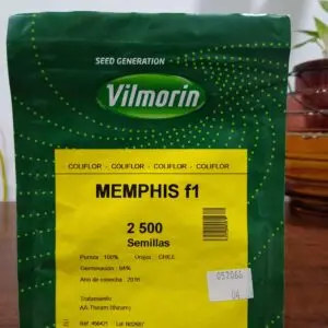 Colifrol Memphis F1 Vilmorin