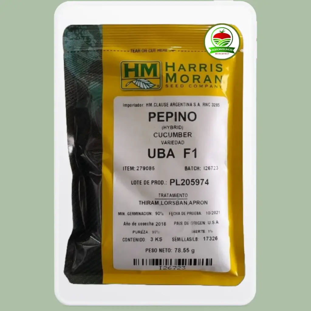 Pepino UBA F1