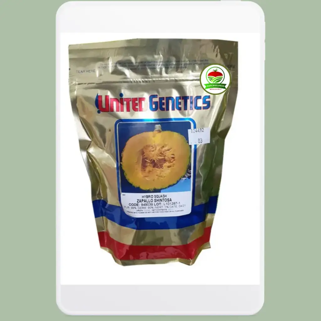 Zapallo Tetsukabuto Shintosa x 300 Grs