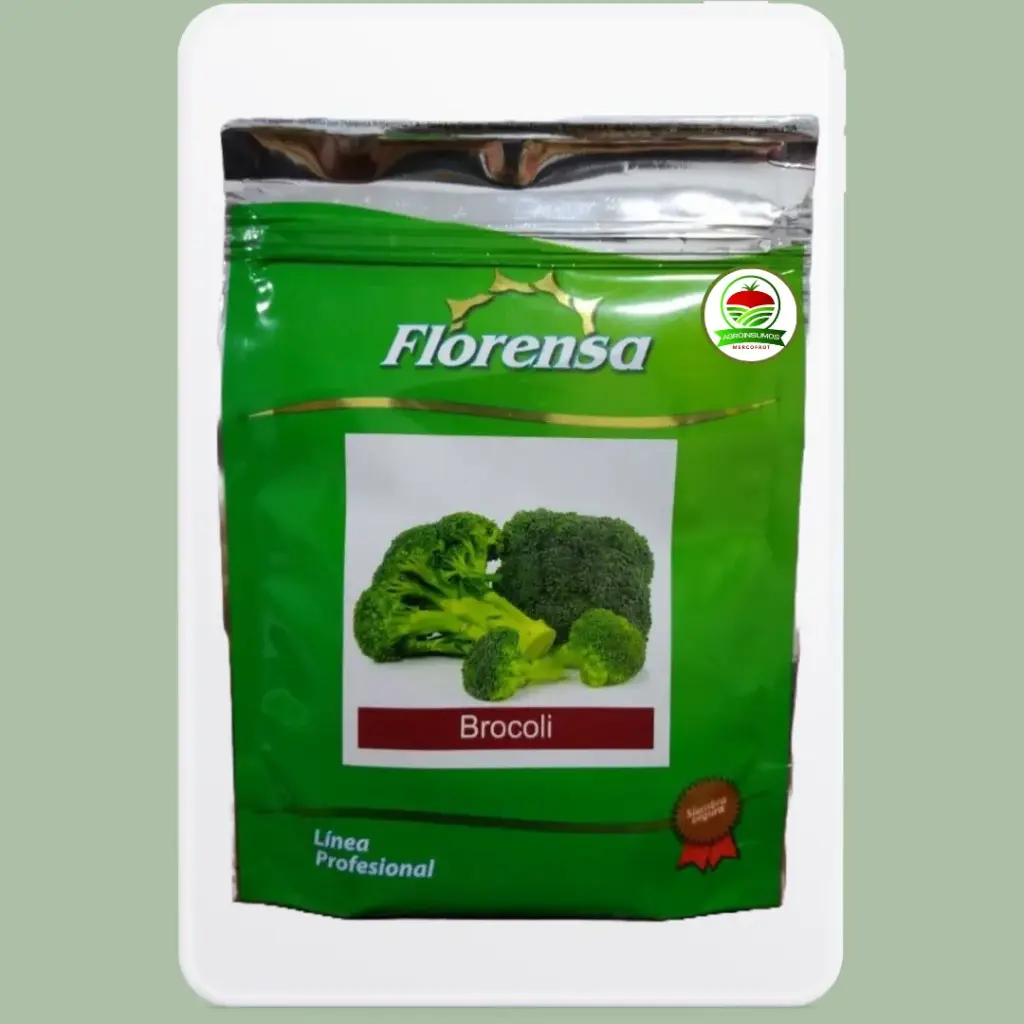 Brocoli Cicco